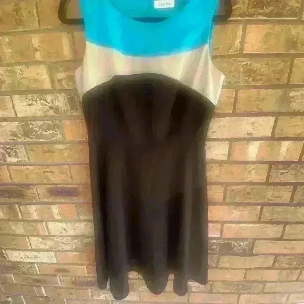 Calvin Klein Sleeveless Color Layered Dress